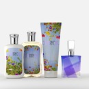 Bath & Body Works Country Chic Collection