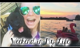 Weekend in My Life: Giant Flamingos, Sunsets, +  Puppies