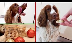 REGALO DE NAVIDAD PARA TU PERRO O GATO! ¿Como hacer galletas?