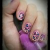 Pink Leopard