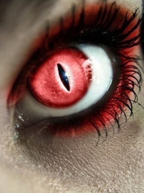 Red Snake Eye., Tori W.'s (TheToriachan) Photo