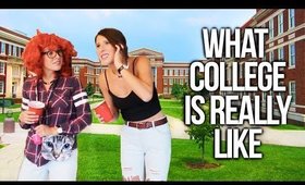 What College Is Really Like