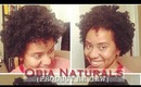 Obia Naturals Product Review [4C Natural Hair]