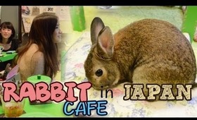 Rabbit Cafe in JAPAN! ウサギカフェに行ってみました！