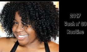 2017 WASH N GO | The Most Defined and Moisturized Wash N Go