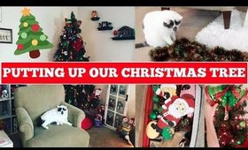 PUTTING UP OUR CHRISTMAS TREE!!!