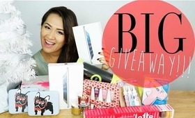 Ann's BIG Holiday Giveaway - iPad Minis & More!! {Gift Haul}