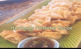 Handmade Pan Fried Potstickers Recipe