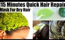 15 Minutes Quick Hair Repair Treatment Mask For Dry Damaged Hair | SuperPrincessjo
