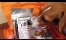 FingsForFido.com - The Subscription Box to spoil your dog