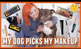 My Dog Picks My Makeup // #ZoeyTheLabPit