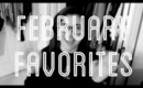 Monthly Favorites: February 2013