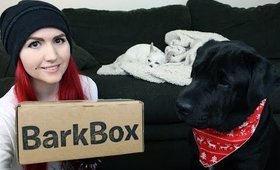 Christmas BarkBox | December 2014