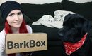 Christmas BarkBox | December 2014