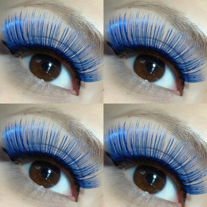 Blue lashes
