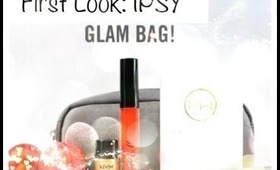 Review:  IPSY (myglam) Bag (12/2012)