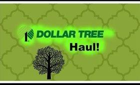 Dollar Tree Haul April 2016