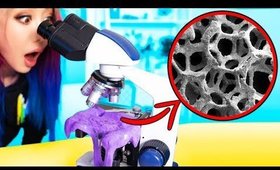 What Slime Looks Like Under A REAL Microscope! CRAZY 1000x ZOOM!