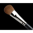 Face Brush P19