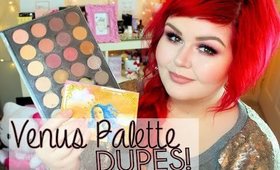 Venus Palette Dupes | Coastal Scents Hot Pots