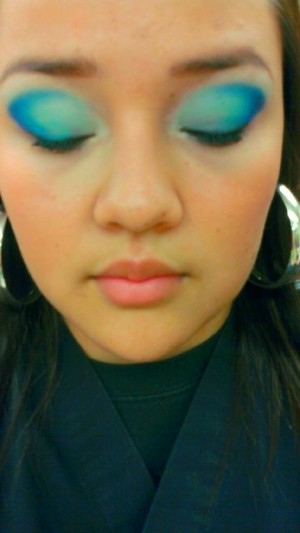 blue ocean using BHcosmetics