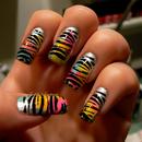  Rainbow Tiger Stripes