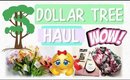 Dolllar Tree Haul #12 | More Awesome Finds | PrettyThingsRock