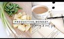 Productive Monday! Declutter, Meal Prep & Planning!