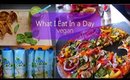 What I Eat In a Day: 100% VEGAN | Dillon Alexandra