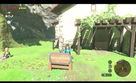 Girl plays Breath of the Wild BLIND STREAM PLAYTHROUGH. Part 15
