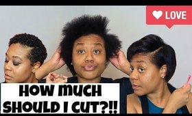 Silk Press and Trim on Short Natural Hair Cyn Doll