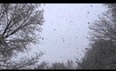 hella snow