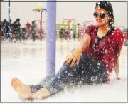 Fariha M.