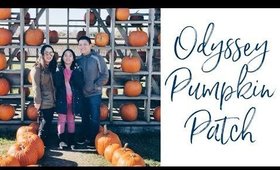 Odyssey Pumpkin Patch | Grace Go