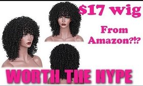 $17 Wig From Amazon?!? || Worth The Hype? || Aisi Hair