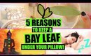 5 REASONS TO SLEEP WITH A BAY LEAF UNDER YOUR PILLOW! │ MANIFEST WISHES WITH BAY LEAVES