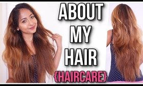 HAIR CARE PRODUCTS I HAVE BEEN USING SINCE MY MOVE | Stacey Castanha