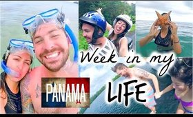 Week in my Life: Panama Vlog