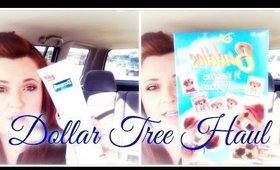 DOLLAR TREE HAUL: Alot of Food Items YUMMY!