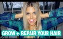 HOW TO GROW + REPAIR YOUR HAIR