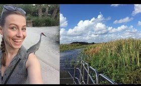 Air Boat Ride Through the Everglades!
