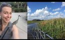 Air Boat Ride Through the Everglades!