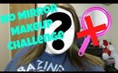 NO MIRROR MAKEUP CHALLENGE