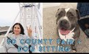 San Diego County Fair + Dog Sitting | VLOG