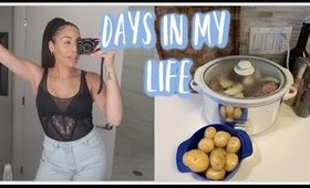 Days In My Life // Easy Crockpot Recipe & Zara Shop With Me