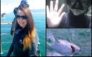 South Africa Day 8 - GREAT WHITE SHARK DIVE | BeautyCreep