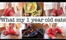 What My 13 Month Old Eats in a Day!!
