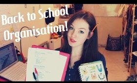 Back to School Organisation || Planners, Notebooks, Study & More!