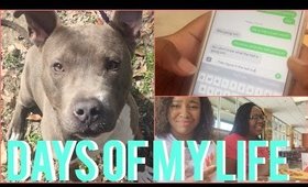Volunteering, the #HELLCHALLENGE & NEW CAMERA | VLOG