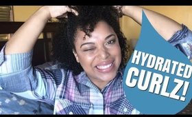 NEVERRR SKIP THIS STEP for JUICY MOISTURIZED SOFT Natural Hair || MelissaQ